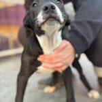 K640_PHOTO-2025-11-25-08-11-45(2)