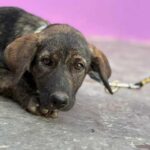 K640_PHOTO-2025-11-25-08-25-02