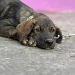 K640_PHOTO-2025-11-25-08-25-02(1)