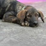 K640_PHOTO-2025-11-25-08-25-03