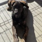 K640_PHOTO-2025-11-25-09-58-09