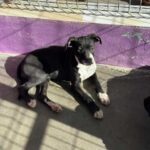 K640_PHOTO-2025-11-25-10-10-22