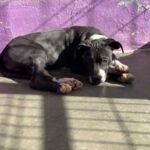 K640_PHOTO-2025-11-25-10-10-28