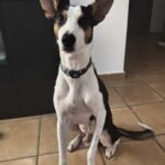 K640_PHOTO-2025-11-25-11-18-09