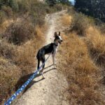 K640_PHOTO-2025-11-25-11-24-07