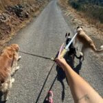 K640_PHOTO-2025-11-25-11-24-17