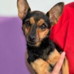 K640_PHOTO-2025-11-26-19-51-52