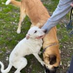 K640_PHOTO-2025-12-03-16-33-54