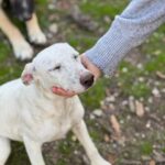 K640_PHOTO-2025-12-03-16-34-12