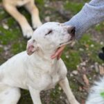 K640_PHOTO-2025-12-03-16-34-27