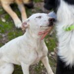 K640_PHOTO-2025-12-03-16-34-35