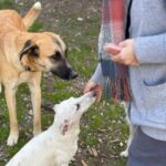 K640_PHOTO-2025-12-03-16-35-51