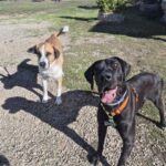 K640_PHOTO-2025-12-03-21-38-43