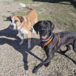 K640_PHOTO-2025-12-03-21-38-52