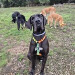 K640_PHOTO-2025-12-03-21-39-06