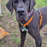 K640_PHOTO-2025-12-03-21-39-16