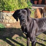 K640_PHOTO-2025-12-03-21-39-36