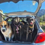 K640_PHOTO-2025-12-03-21-39-52