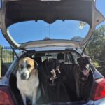 K640_PHOTO-2025-12-03-21-40-00