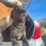 K640_PHOTO-2025-12-03-22-15-46