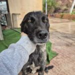 K640_PHOTO-2025-12-03-22-15-58