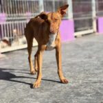 K640_PHOTO-2025-12-08-07-48-35