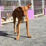 K640_PHOTO-2025-12-08-07-48-43