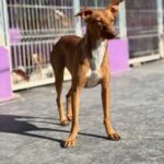 K640_PHOTO-2025-12-08-07-49-43