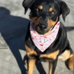 K640_PHOTO-2025-12-08-07-56-38