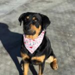 K640_PHOTO-2025-12-08-07-56-54