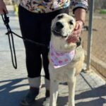 K640_PHOTO-2025-12-10-14-57-58