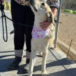 K640_PHOTO-2025-12-10-14-57-58(2)