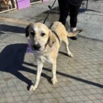 K640_PHOTO-2025-12-10-14-58-00(2)