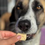 K640_PHOTO-2025-12-10-15-06-29(1)