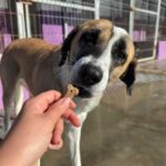 K640_PHOTO-2025-12-10-15-06-29(3)