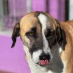 K640_PHOTO-2025-12-10-15-06-30