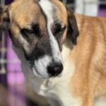 K640_PHOTO-2025-12-10-15-06-30(2)