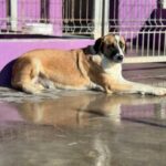 K640_PHOTO-2025-12-10-15-06-30(3)