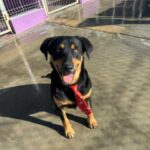 K640_PHOTO-2025-12-10-15-07-32(1)