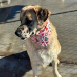 K640_PHOTO-2025-12-10-15-08-34