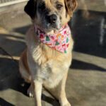 K640_PHOTO-2025-12-10-15-08-34(1)