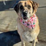 K640_PHOTO-2025-12-10-15-08-36