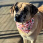 K640_PHOTO-2025-12-10-15-08-36(1)