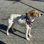 K640_PHOTO-2025-12-10-15-11-30