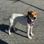 K640_PHOTO-2025-12-10-15-11-30(1)