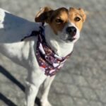 K640_PHOTO-2025-12-10-15-11-31(1)