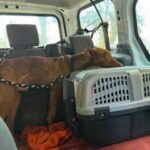 K640_PHOTO-2025-12-13-17-39-55