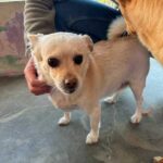 K640_Foto von Emma(6)