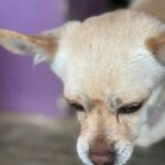 K640_Foto von Emma(8)