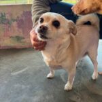 K640_Foto von Emma(9)